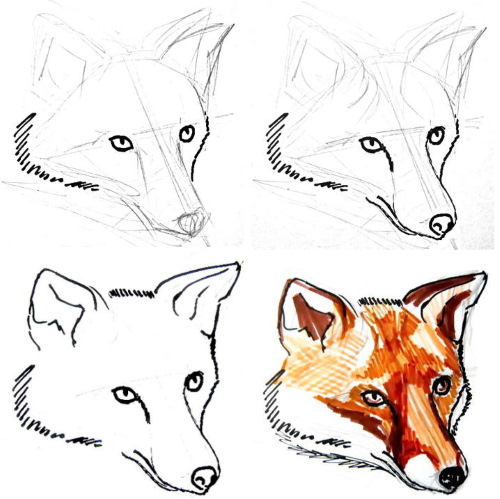 Fuchsgesicht zeichnen für Kinder mit Bleistift Schritt für Schritt