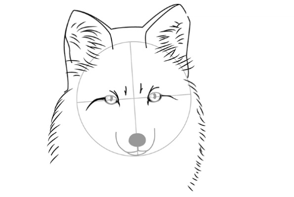 Fuchsgesicht zeichnen für Kinder mit Bleistift Schritt für Schritt