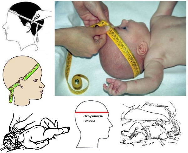 Circonferenza cranica di un neonato. Tabella delle taglie per bambine e bambini in base al mese