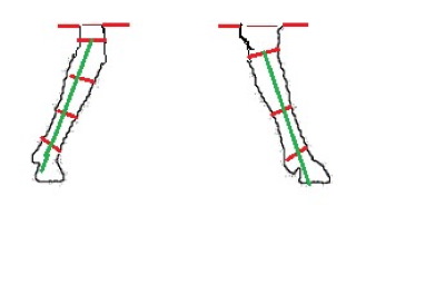 DIY-Hirsch aus Draht und Girlande. Skizze, Diagramm