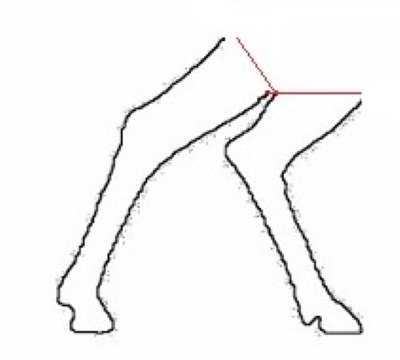 DIY-Hirsch aus Draht und Girlande. Skizze, Diagramm