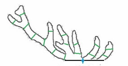 DIY-Hirsch aus Draht und Girlande. Skizze, Diagramm