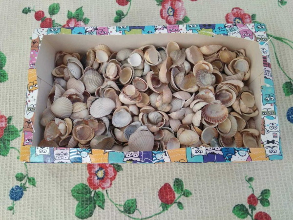 Basteln aus Plastilin für Kinder von 7-8 Jahren Schritt für Schritt