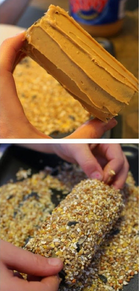DIY Papierhandtuchrollen Basteln