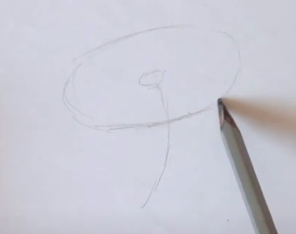 ציור קמומיל לילדים בעיפרון שלב אחר שלב