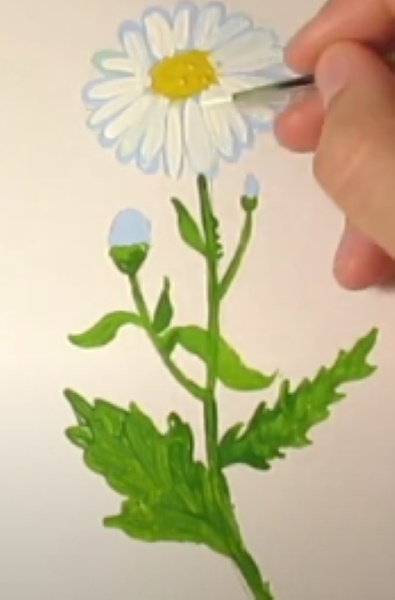 ציור קמומיל לילדים בעיפרון שלב אחר שלב