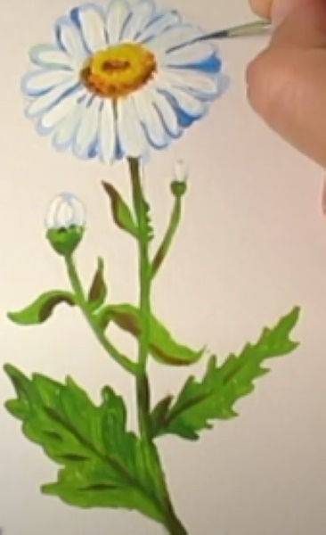 ציור קמומיל לילדים בעיפרון שלב אחר שלב