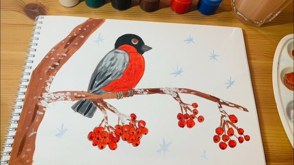 Bullfinch on a branch drawing for children with paints, pencil