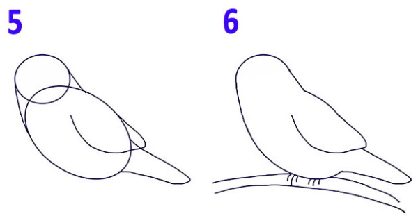 Bullfinch on a branch drawing for children with paints, pencil