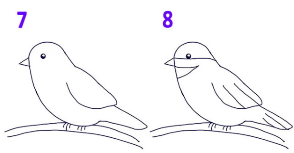 Bullfinch on a branch drawing for children with paints, pencil
