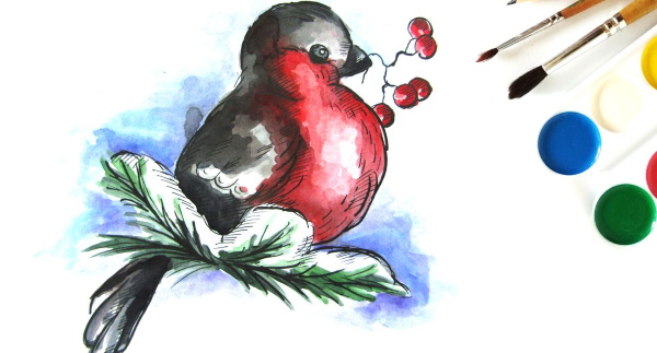 Bullfinch on a branch drawing for children with paints, pencil