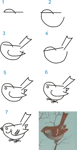 Bullfinch on a branch drawing for children with paints, pencil