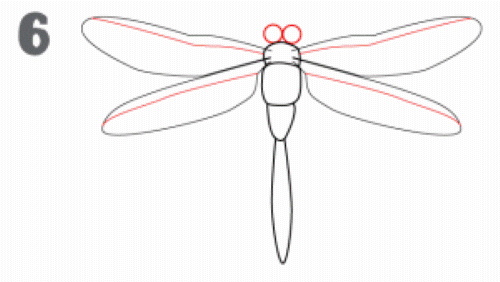 Libelle zeichnen für Kinder mit Bleistift Schritt für Schritt