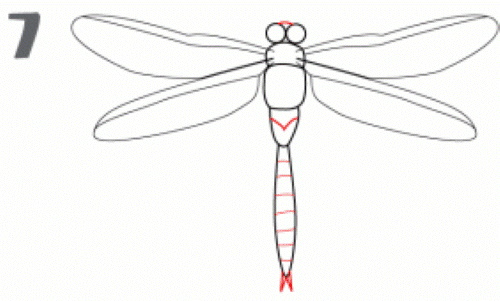 Libelle zeichnen für Kinder mit Bleistift Schritt für Schritt