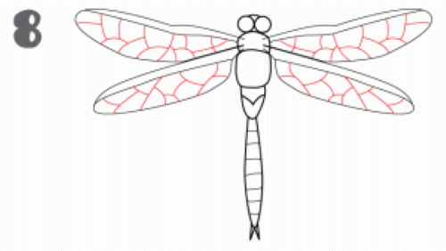 Libelle zeichnen für Kinder mit Bleistift Schritt für Schritt
