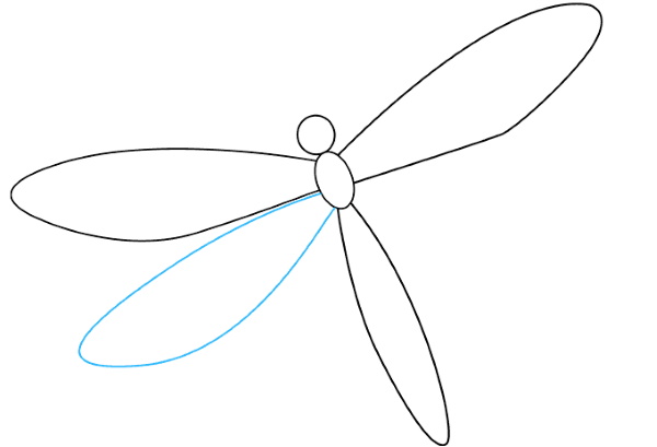 Libelle zeichnen für Kinder mit Bleistift Schritt für Schritt