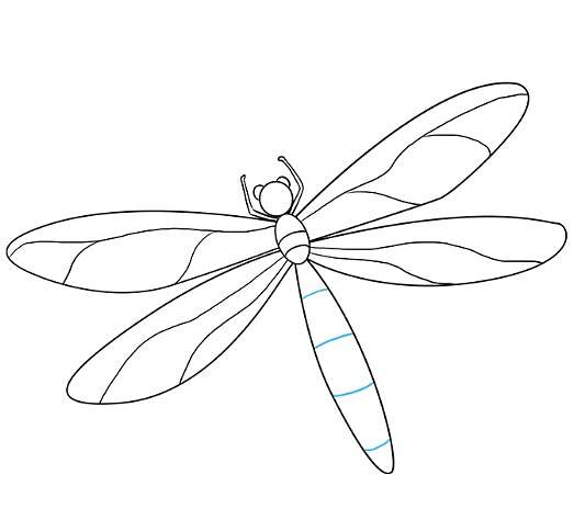 Libelle zeichnen für Kinder mit Bleistift Schritt für Schritt