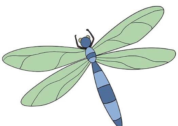 Libelle zeichnen für Kinder mit Bleistift Schritt für Schritt