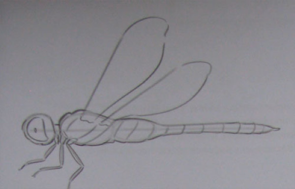Libelle zeichnen für Kinder mit Bleistift Schritt für Schritt