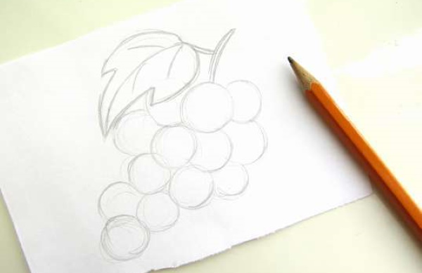 Trauben zeichnen für Kinder mit Bleistift Schritt für Schritt