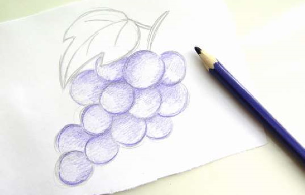 Trauben zeichnen für Kinder mit Bleistift Schritt für Schritt