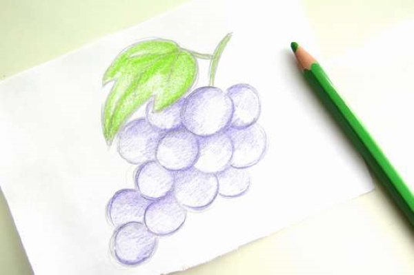 Trauben zeichnen für Kinder mit Bleistift Schritt für Schritt