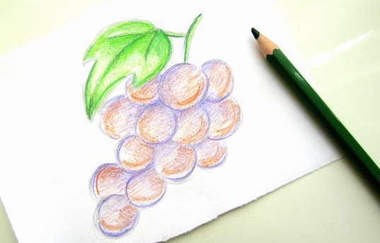 Trauben zeichnen für Kinder mit Bleistift Schritt für Schritt