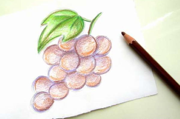 Trauben zeichnen für Kinder mit Bleistift Schritt für Schritt