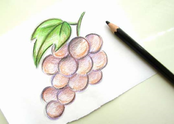 Trauben zeichnen für Kinder mit Bleistift Schritt für Schritt