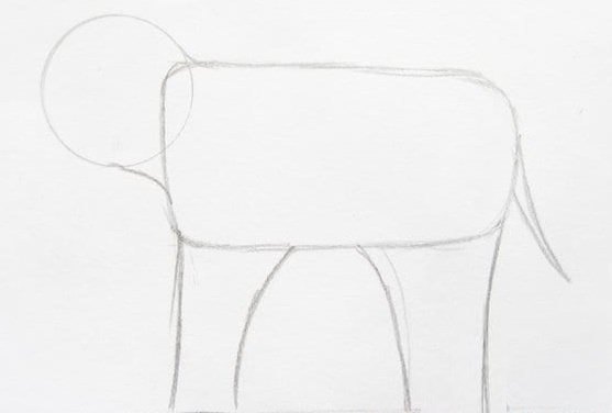 Elefantenzeichnung für Kinder mit Bleistift, auf transparentem Hintergrund, Färbung