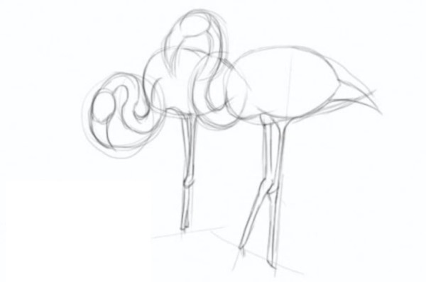 Flamingo zeichnen für Kinder mit Bleistift Schritt für Schritt