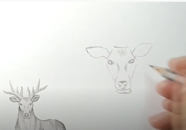 Come immagino la tundra. Disegni, Il mondo intorno a noi