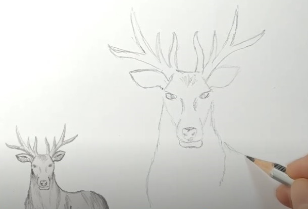 Come immagino la tundra. Disegni, Il mondo intorno a noi