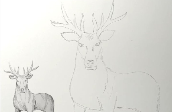 Come immagino la tundra. Disegni, Il mondo intorno a noi
