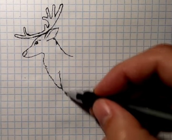 Come immagino la tundra. Disegni, Il mondo intorno a noi