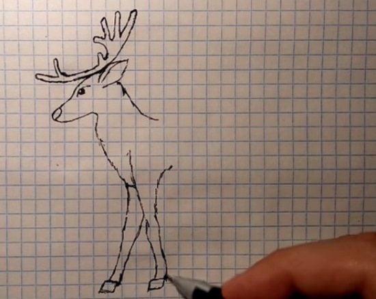 Come immagino la tundra. Disegni, Il mondo intorno a noi