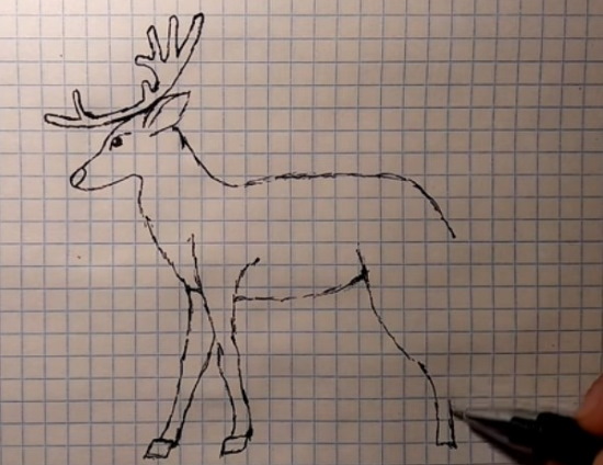 Come immagino la tundra. Disegni, Il mondo intorno a noi