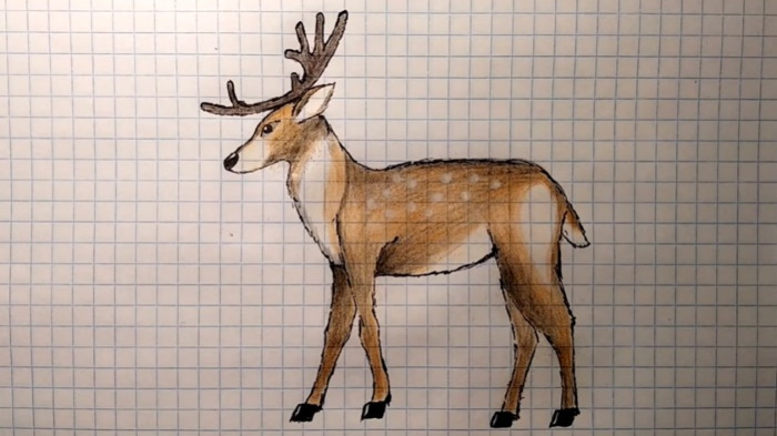 Come immagino la tundra. Disegni, Il mondo intorno a noi