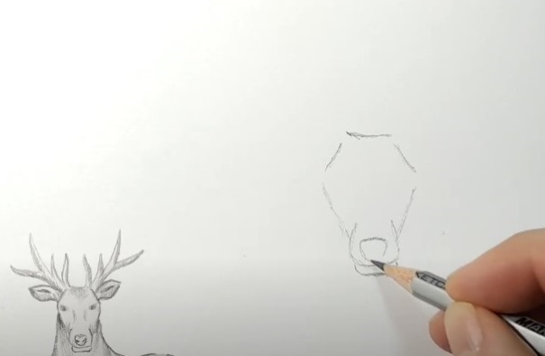 Come immagino la tundra. Disegni, Il mondo intorno a noi