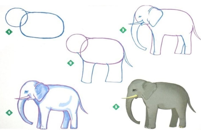 Elefantenzeichnung für Kinder mit Bleistift, auf transparentem Hintergrund, Färbung