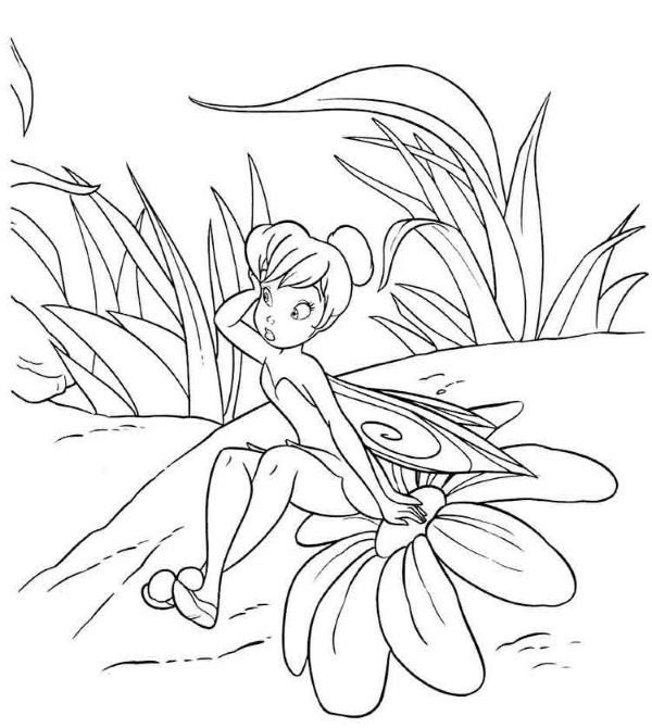 Fee Tinkerbell. Fotos, Bilder zum Ausmalen
