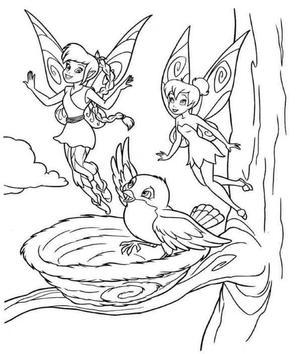 Fee Tinkerbell. Fotos, Bilder zum Ausmalen