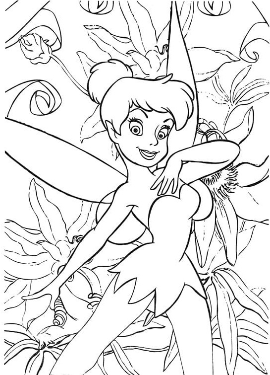 Fee Tinkerbell. Fotos, Bilder zum Ausmalen