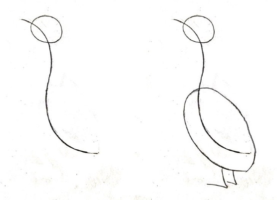 Gans zeichnen für Kinder mit Bleistift Schritt für Schritt