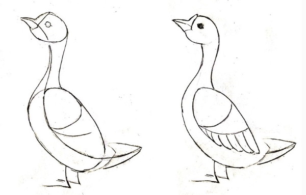 Gans zeichnen für Kinder mit Bleistift Schritt für Schritt