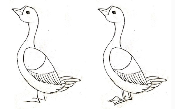 Gans zeichnen für Kinder mit Bleistift Schritt für Schritt