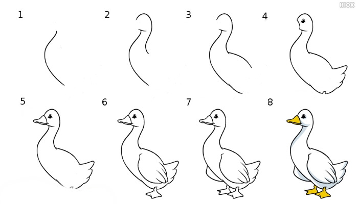 Gans zeichnen für Kinder mit Bleistift Schritt für Schritt