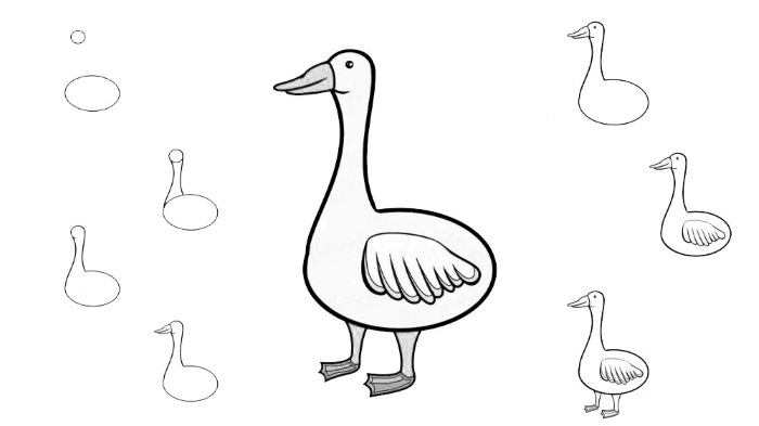 Gans zeichnen für Kinder mit Bleistift Schritt für Schritt