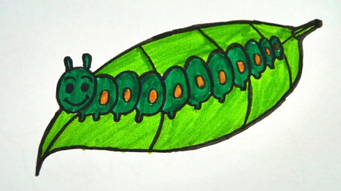 Raupenzeichnung für Kinder mit Bleistift, Farben