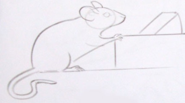 Maus zeichnen für Kinder mit Bleistift Schritt für Schritt